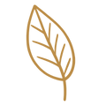 NATURAL FABRICS
